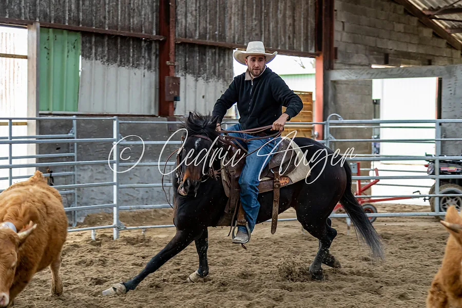 Ranch Sorting — photo 3