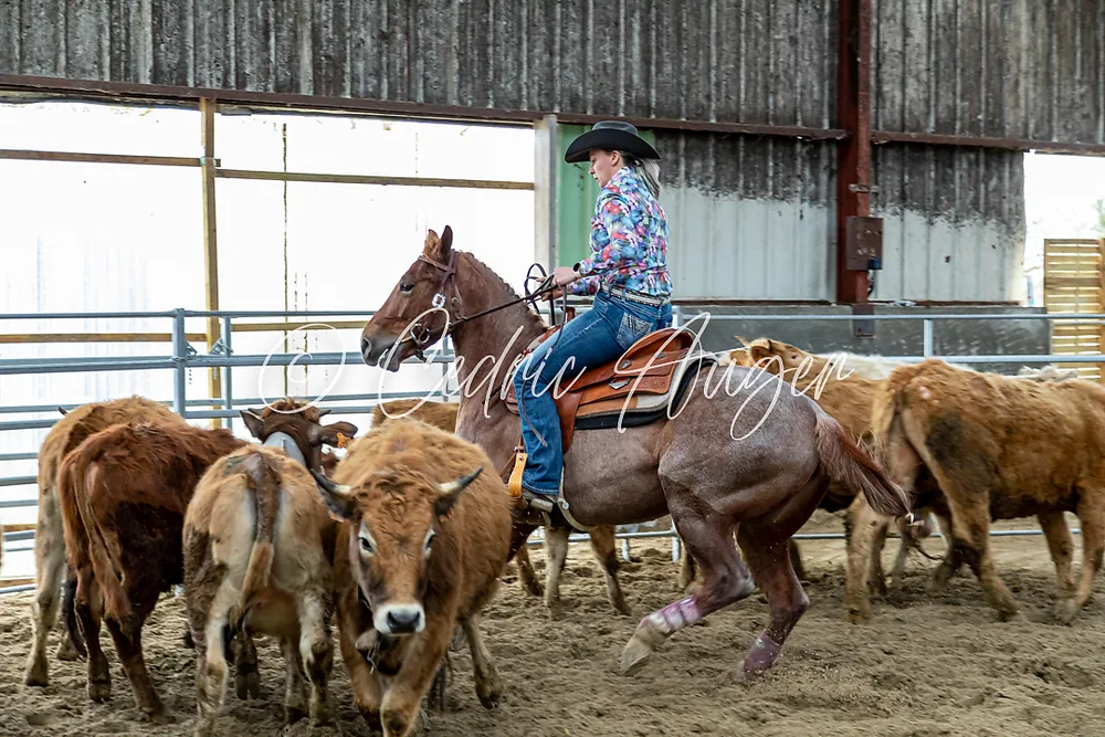 Ranch Sorting